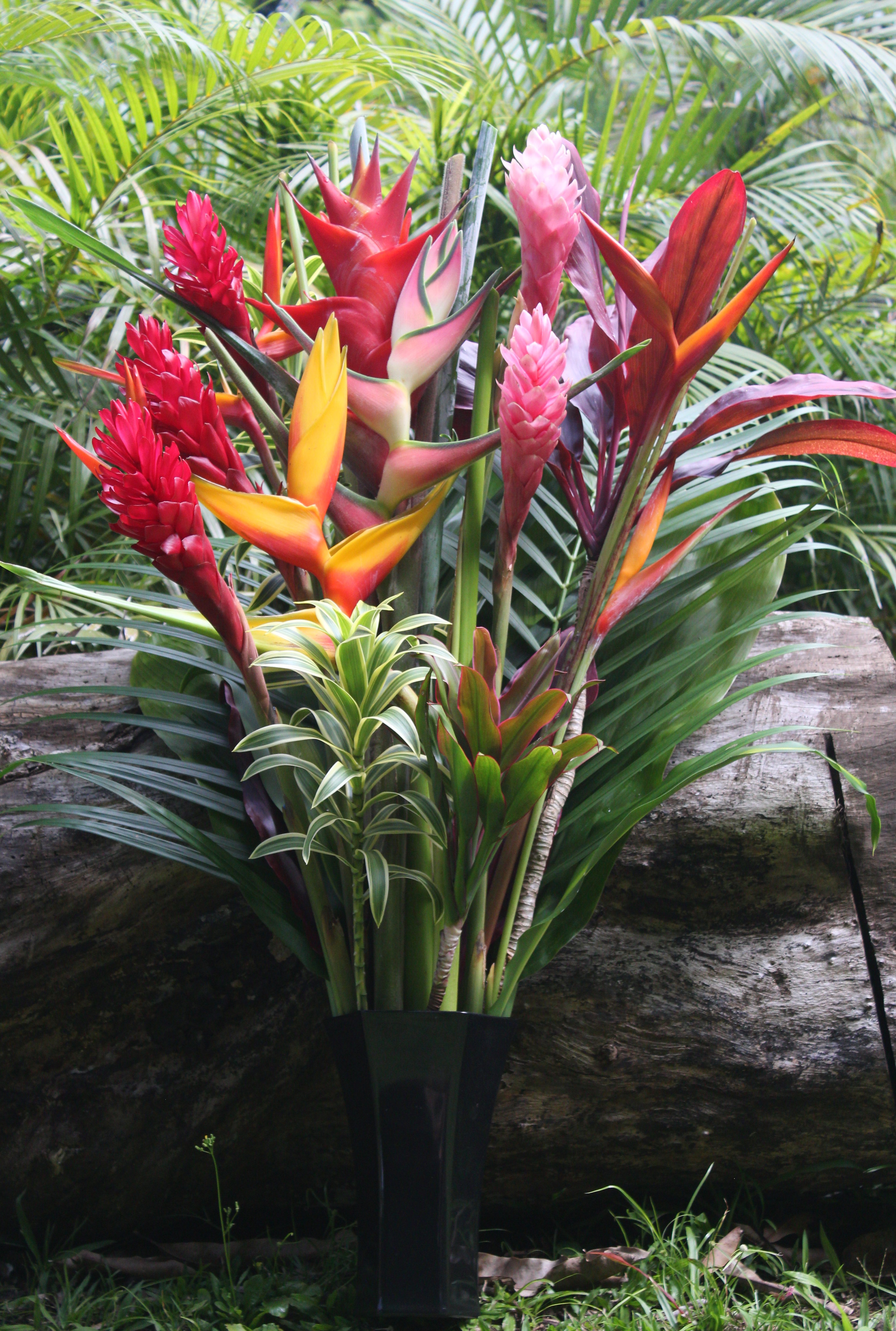 Heavenly Bouquet – Tropical Flowers & Bouquets of Hawaii