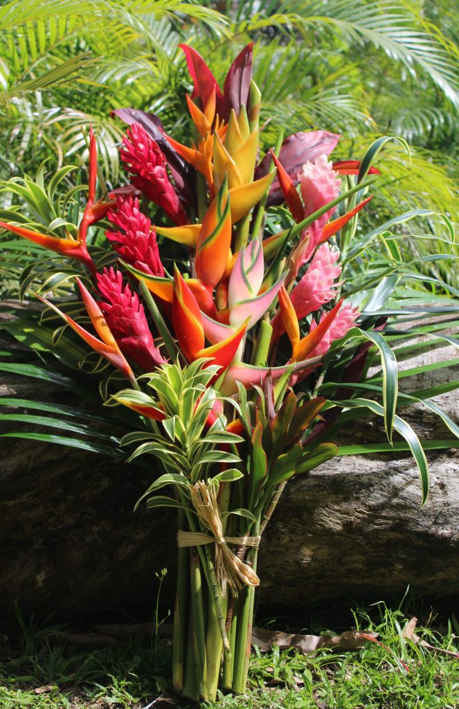 Home Page | Tropical Flowers & Bouquets of Hawaii